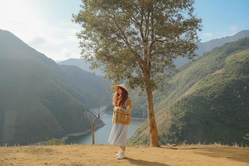 B&oacute;ng c&acirc;y C&ocirc; Đơn trầm mặc, người lẻ loi bước một m&igrave;nh